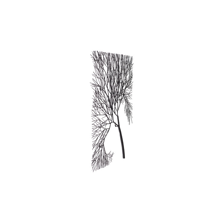 Phillips Collection Wire Tree Wall D Cor Perigold   Wire Tree Wall Décor 